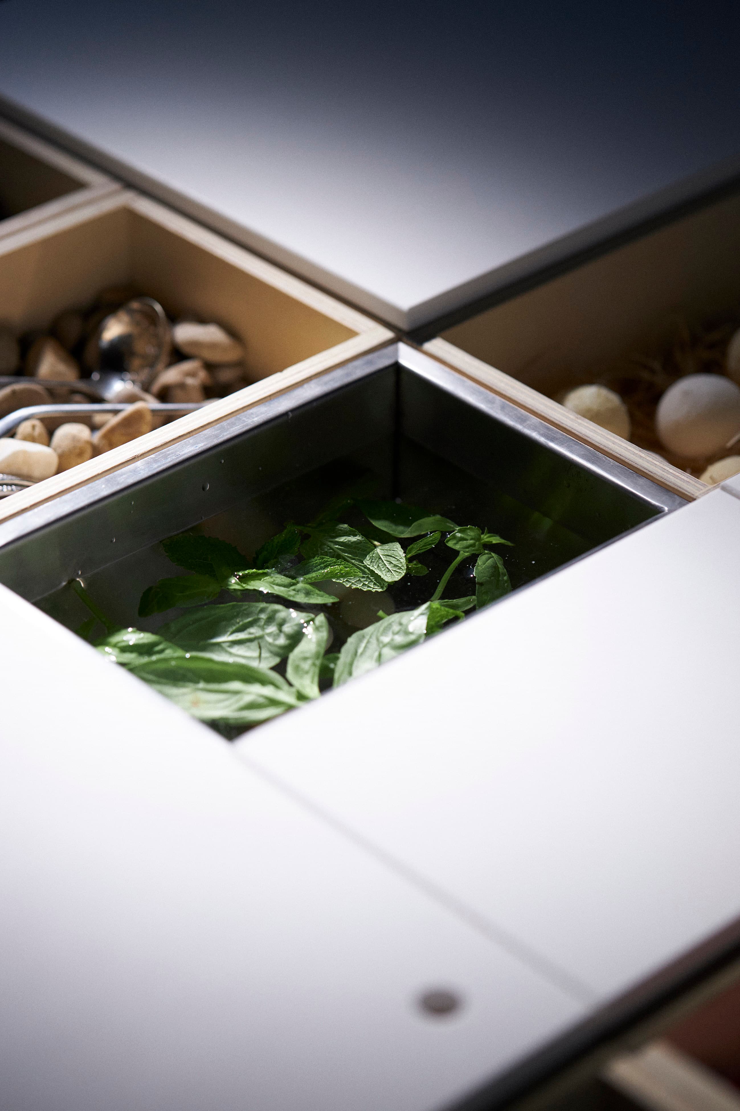 EXPERIÈNCIA TAULA VIVA